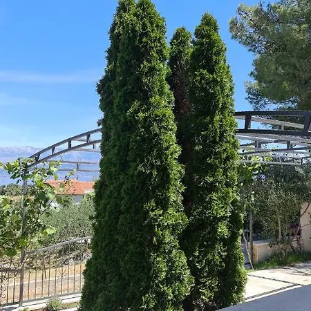 Serenity Apartamento *